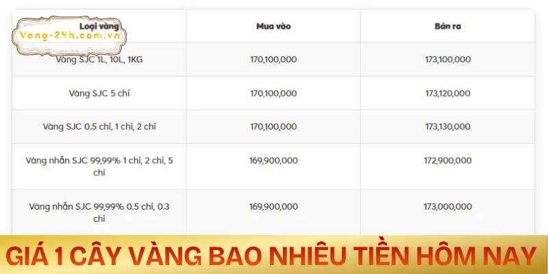 1-cay-vang-bao-nhieu-tien-cap-nhat-moi