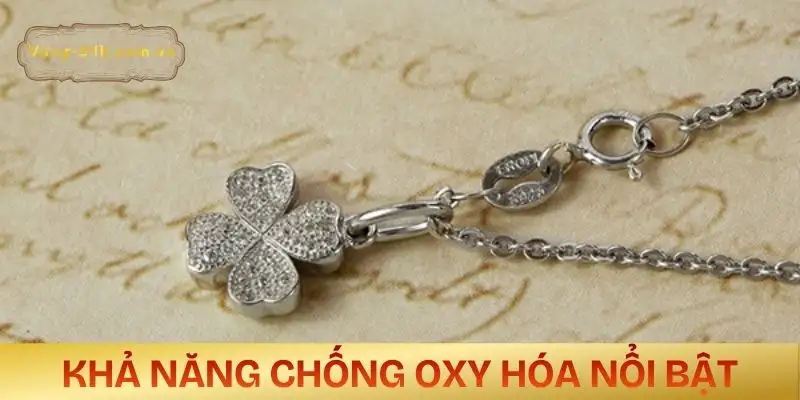 bac-xi-bach-kim-la-gi-chong-oxy-hoa-tot