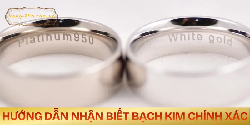 bach-kim-la-gi-cach-nhan-biet