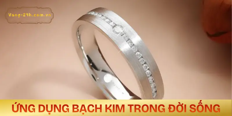 bach-kim-la-gi-cach-ung-dung