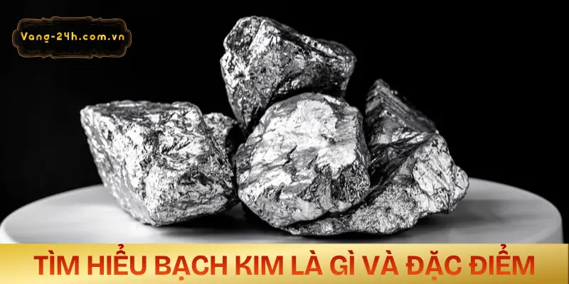 bach-kim-la-gi-khai-niem