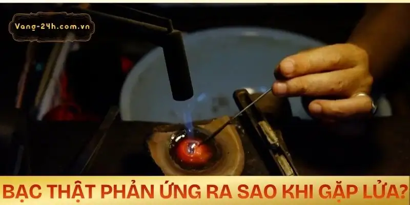 cach-thu-bac-bang-lua-thuc-te