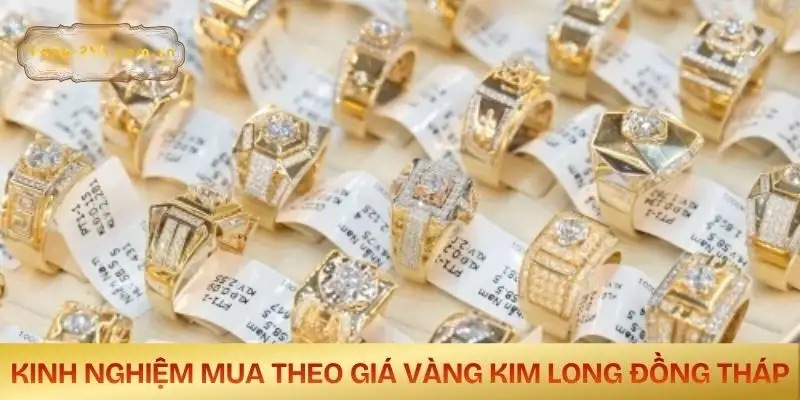 gia-vang-kim-long-dong-thap-kinh-nghiem