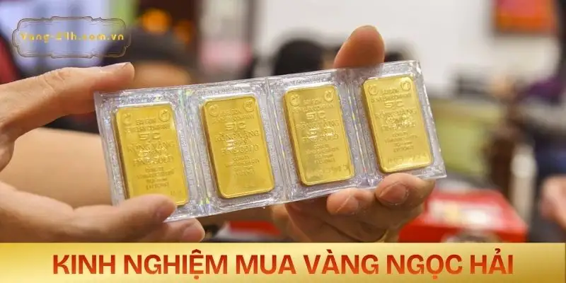 gia-vang-ngoc-hai-kinh-nghiem