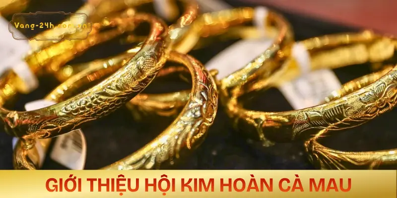 hoi-kim-hoan-ca-mau-gioi-thieu