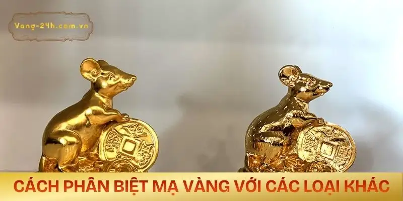 ma-vang-la-gi-phan-biet-cac-loai-san-pham