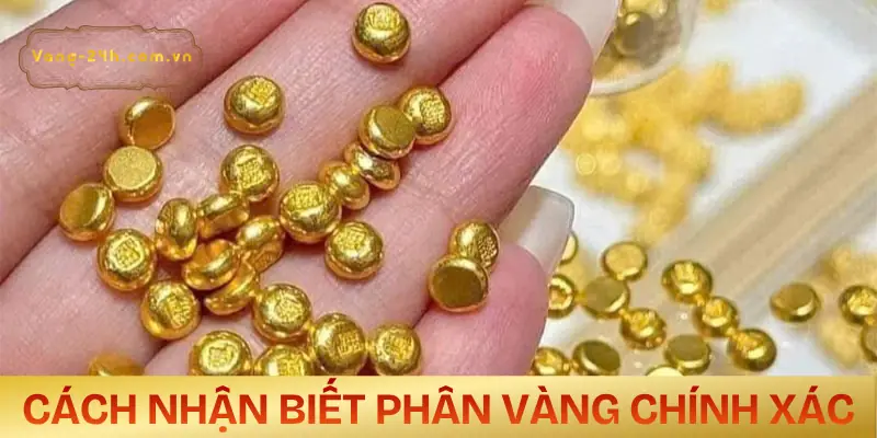 phan-vang-la-gi-cach-nhan-biet