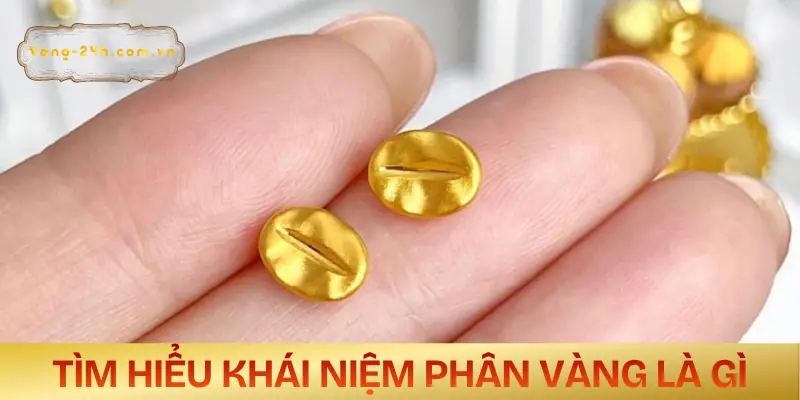 phan-vang-la-gi-khai-niem