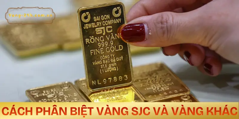 sjc-la-vang-gi-cach-phan-biet
