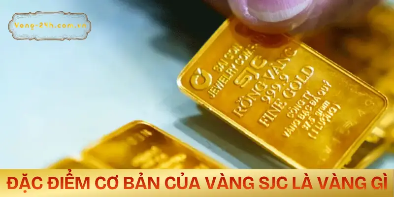 sjc-la-vang-gi-dac-diem