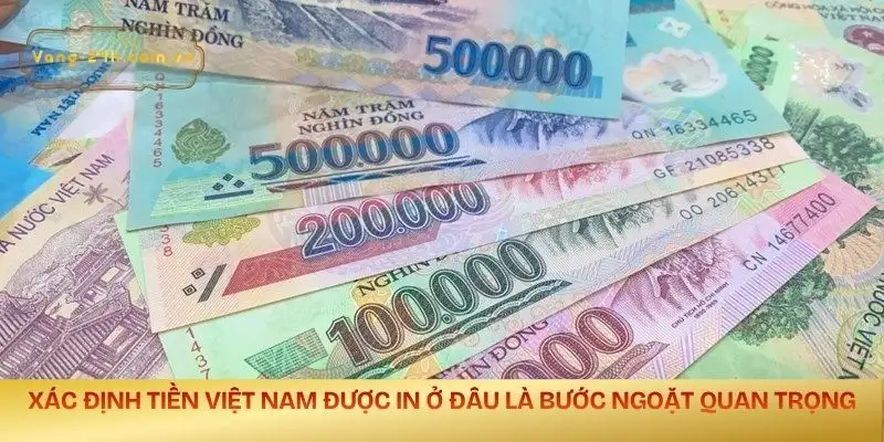 tien-viet-nam-duoc-in-o-dau-buoc-ngoat-trong-viec-thong-nhat