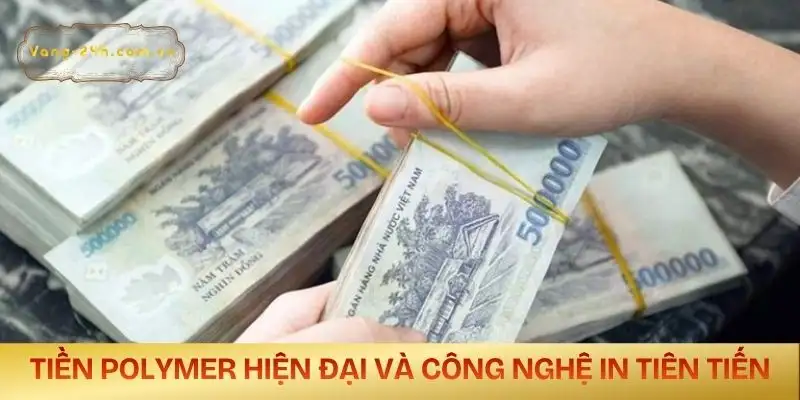 tien-viet-nam-duoc-in-o-dau-tien-polymer-hien-dai