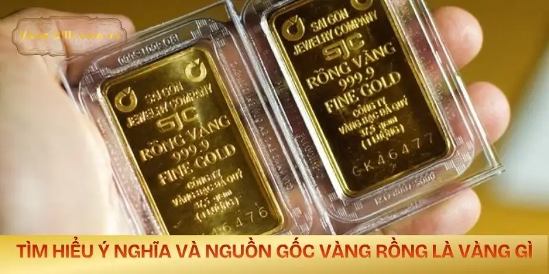 vang-rong-la-vang-gi-giai-ma