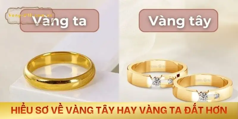 vang-tay-hay-vang-ta-dat-hon-hieu-dung