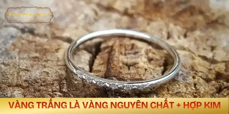 vang-trang-la-vang-gi-ban-chat